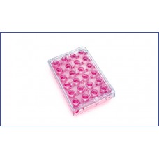 Cell Culture Insert Plate